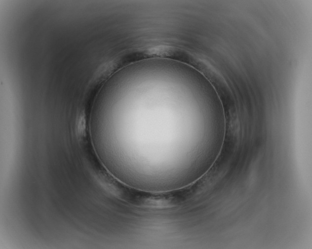 X0000113130502200909110917