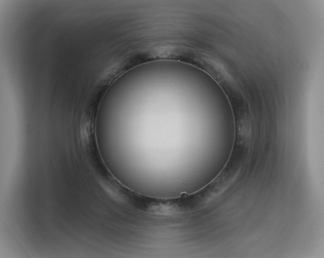 X0000113130503200909110917