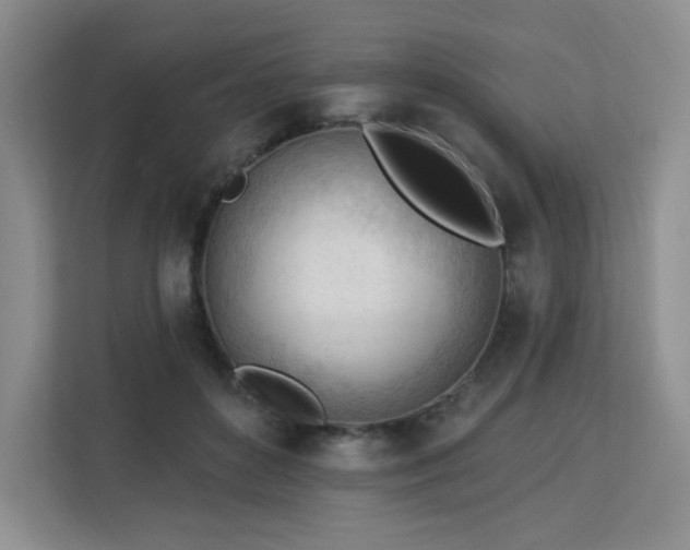 X0000113130504200909110917