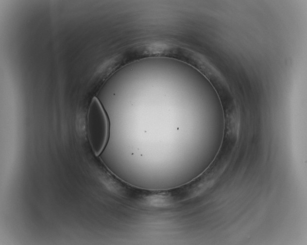 X0000113130505200909110917