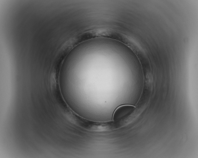 X0000113130506200909110917