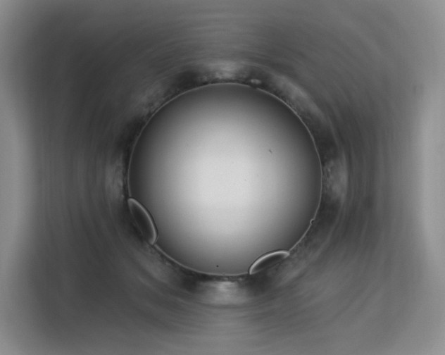 X0000113130509200909110916