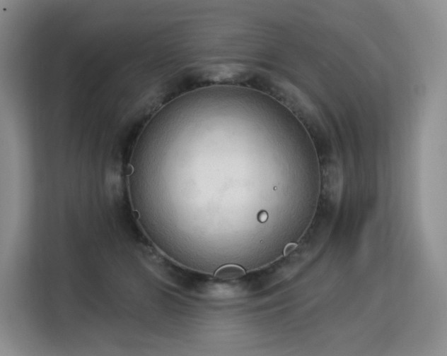 X0000113130510200909110916