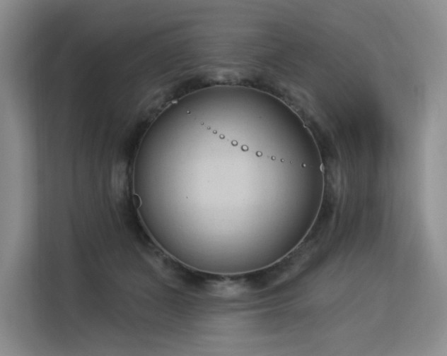 X0000113130511200909110916