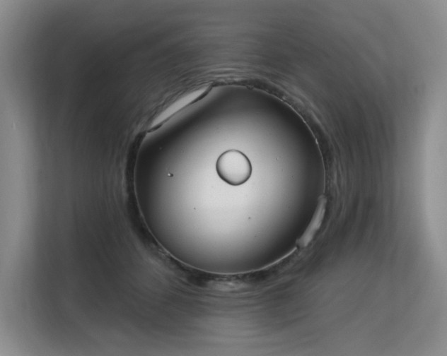 X0000113130512200909110916