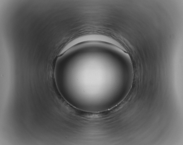 X0000113130513200909110916