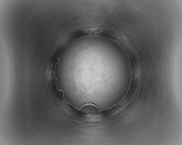 X0000113130515200909110916