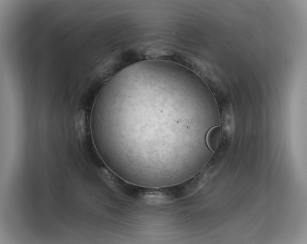 X0000113130519200909110916