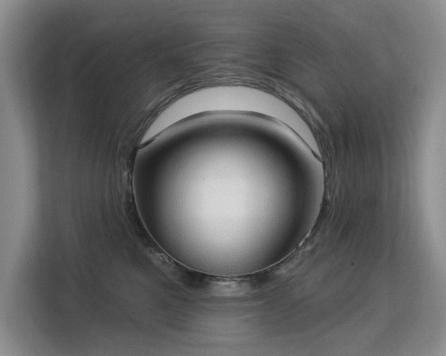 X0000113130521200909110916