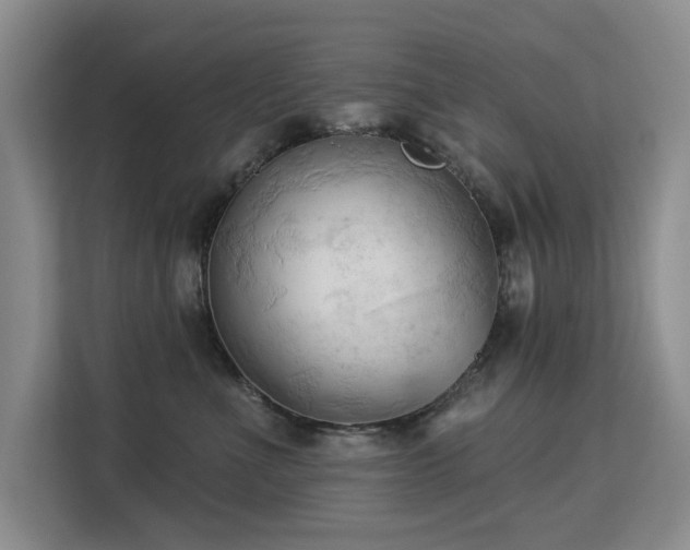 X0000113130523200909110916