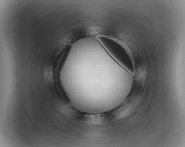 X0000113130524200909110916