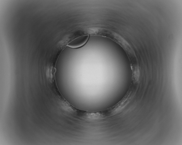 X0000113130525200909110916