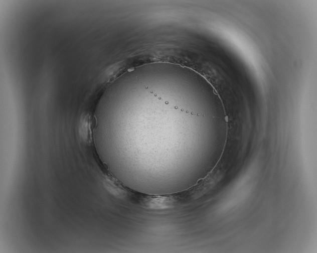 X0000113130527200909110916