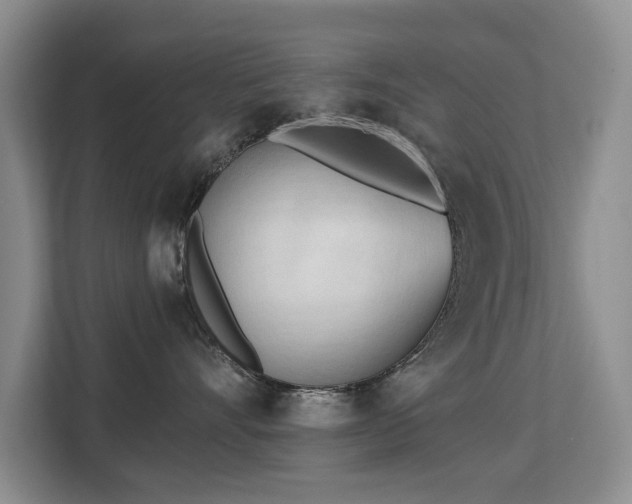 X0000113130528200909110916