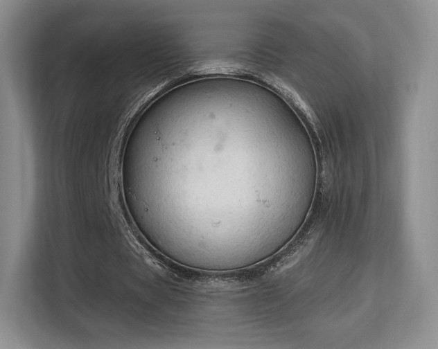 X0000113130529200909110916