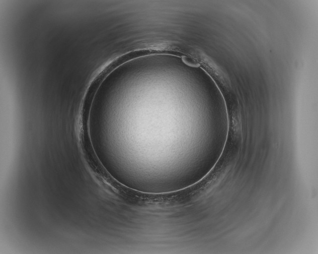 X0000113130532200909110916