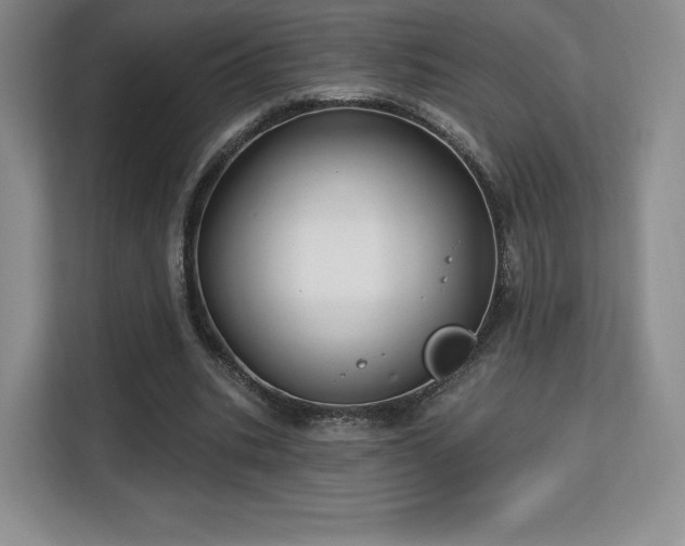 X0000113130535200909110916