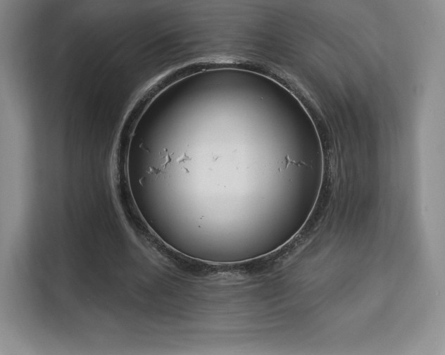 X0000113130536200909110916