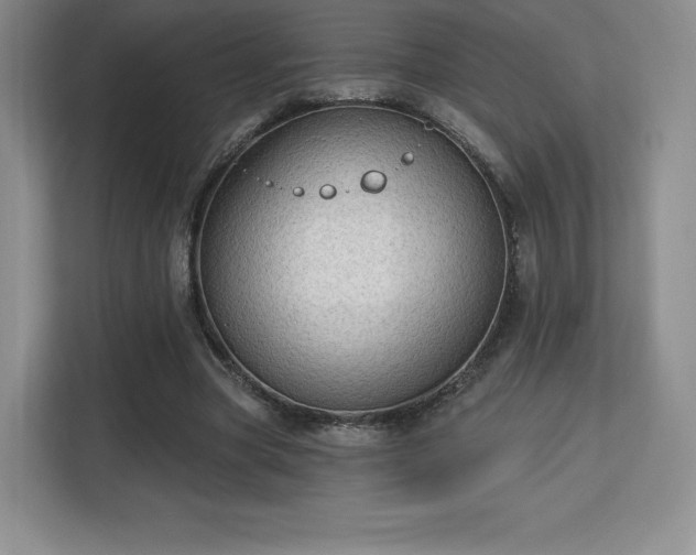 X0000113130537200909110916