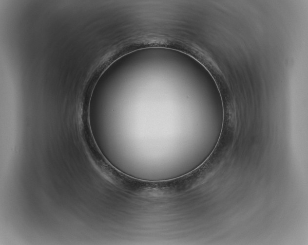 X0000113130538200909110916