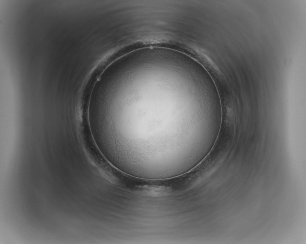 X0000113130539200909110916