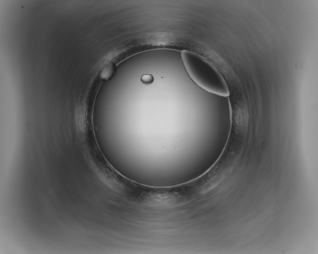 X0000113130540200909110916