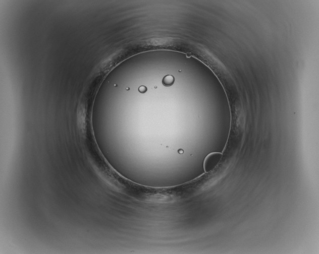 X0000113130542200909110916