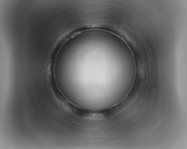 X0000113130543200909110916