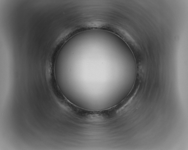 X0000113130544200909110916