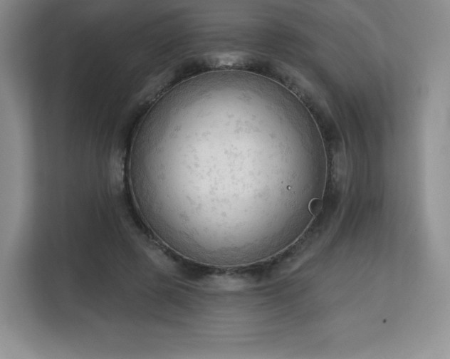 X0000113130545200909110916