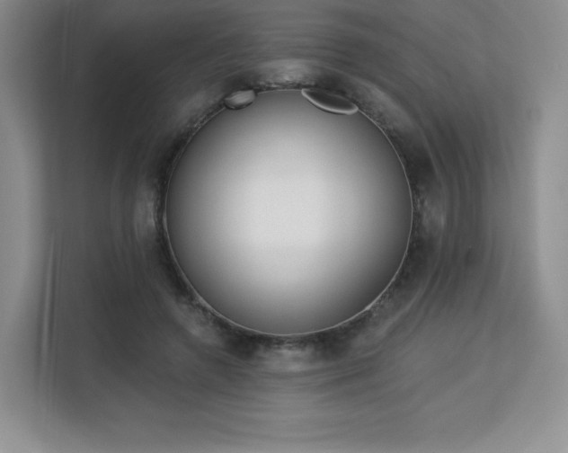 X0000113130546200909110916