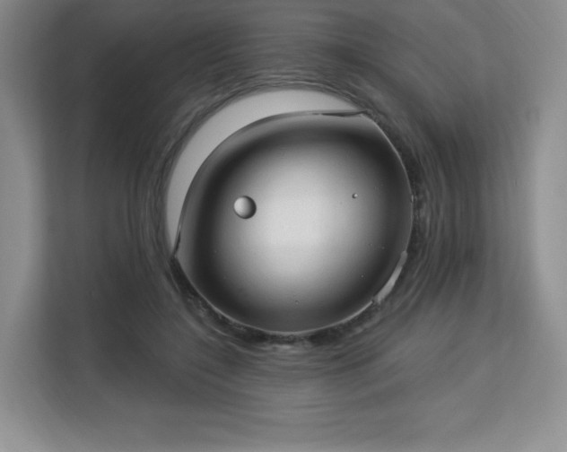 X0000113130548200909110916