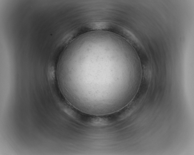 X0000113130549200909110916