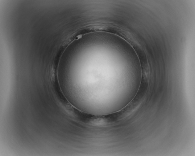 X0000113130551200909110916