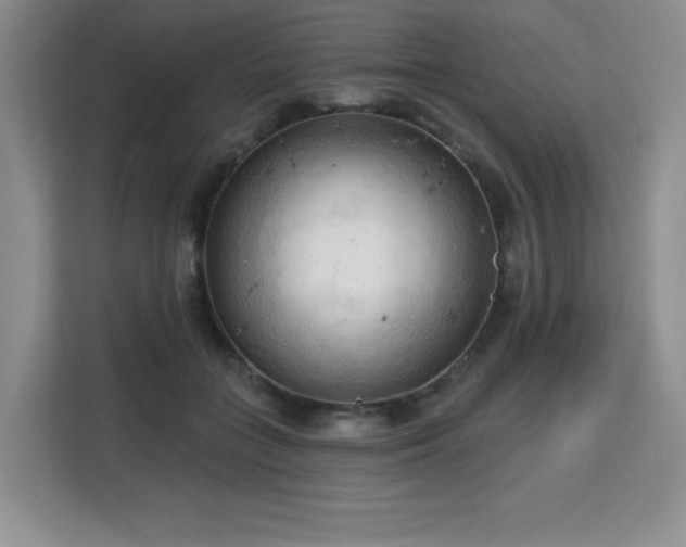 X0000113130555200909110916