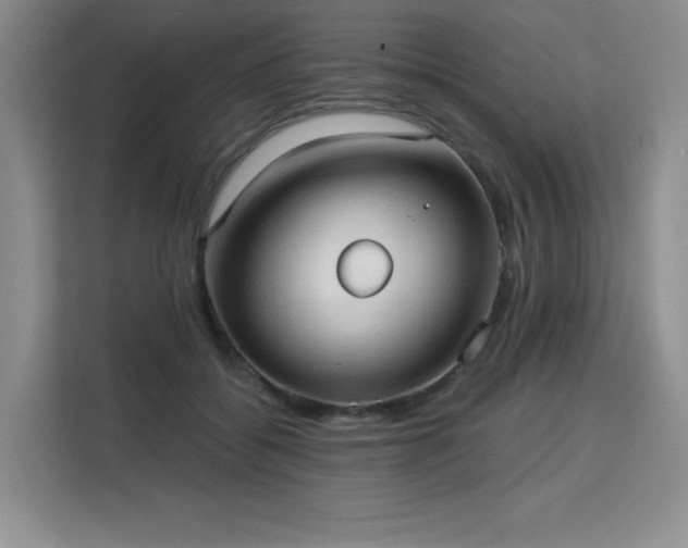 X0000113130556200909110916