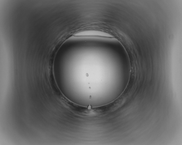 X0000113130558200909110916