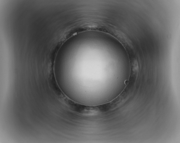 X0000113130559200909110916