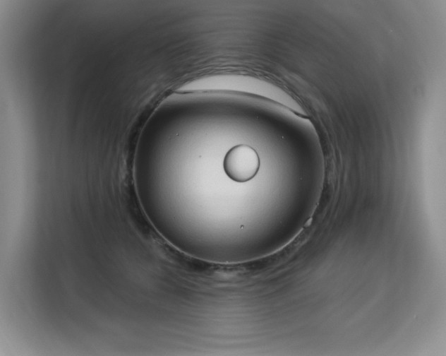 X0000113130560200909110916