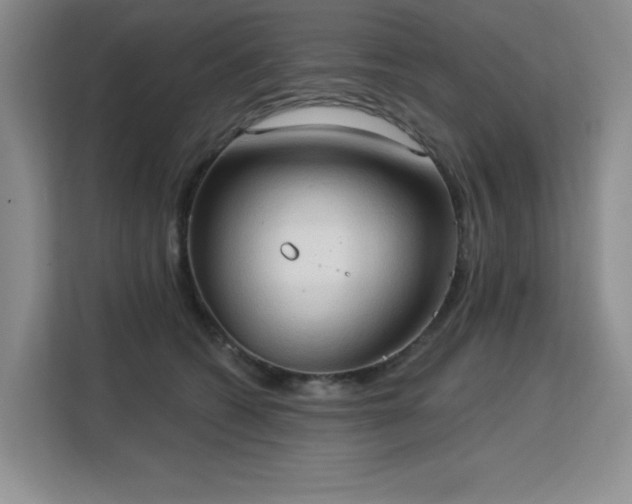 X0000113130562200909110916