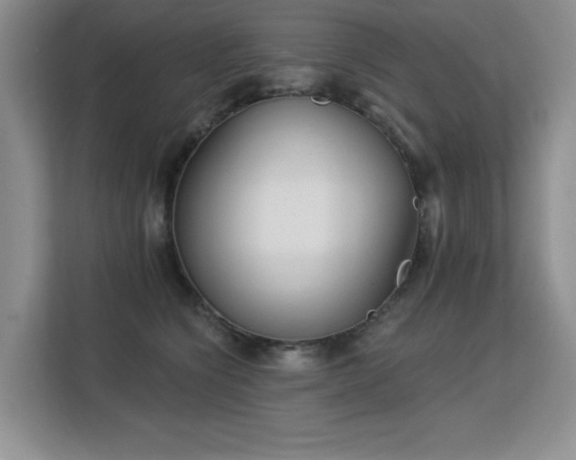 X0000113130564200909110916