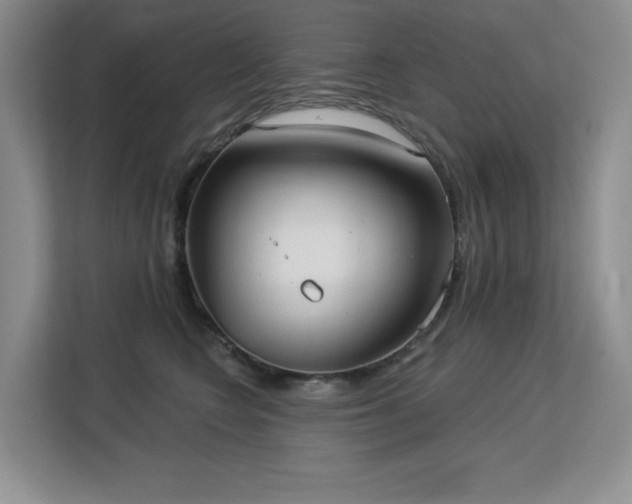 X0000113130566200909110916