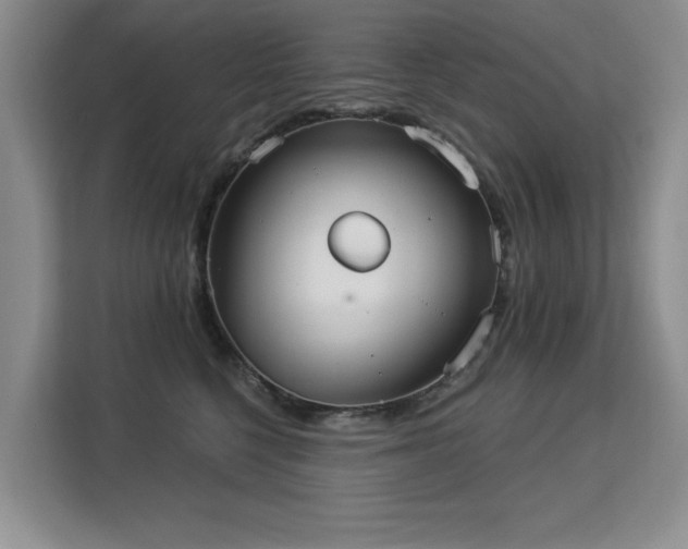 X0000113130568200909110916