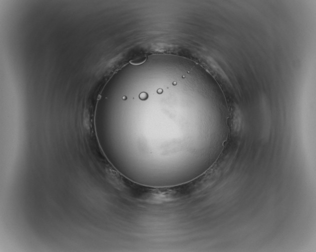 X0000113130569200909110916