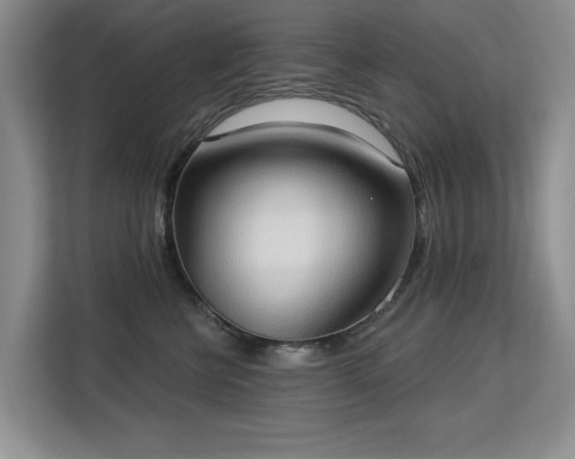 X0000113130570200909110916