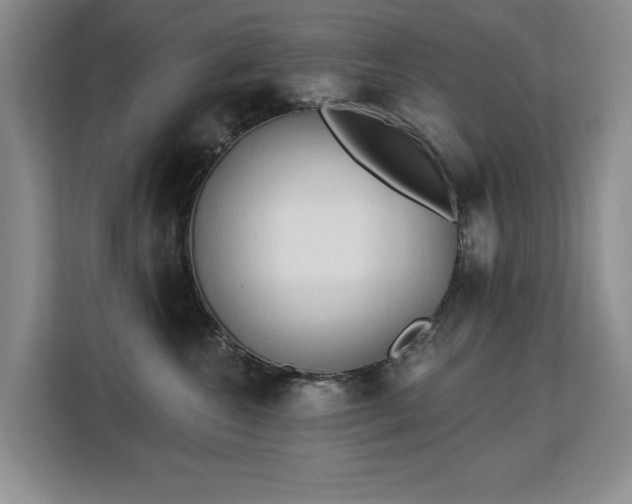 X0000113130572200909110916