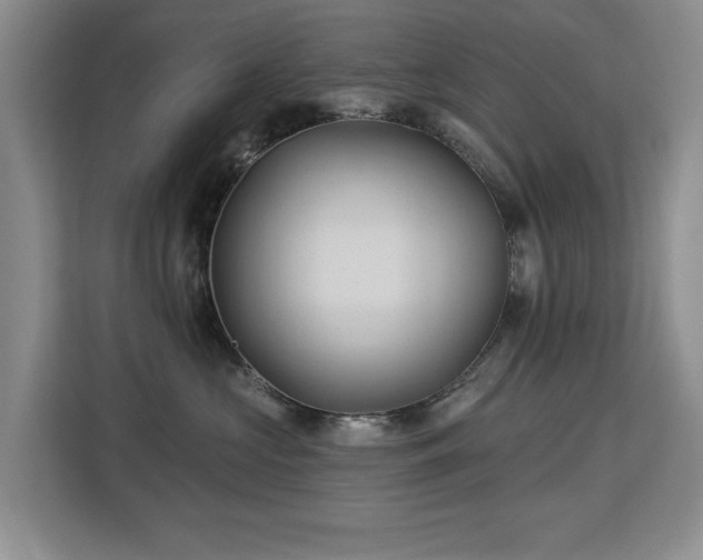 X0000113130573200909110916