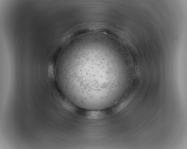 X0000113130575200909110916