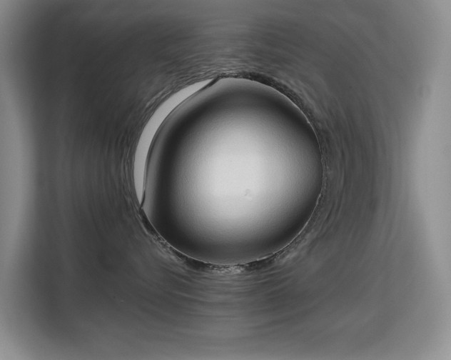 X0000113130576200909110916