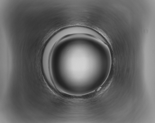 X0000113130577200909110916